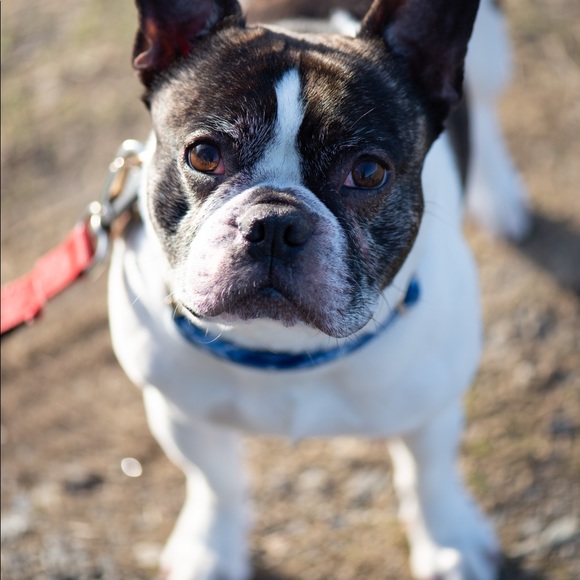 Meet your Posher, Stephanie - Picture 4 of 4